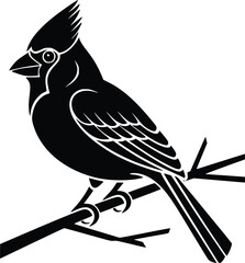 Bold Black And White Cardinal On Branch. Vector Illustration Isolated On White