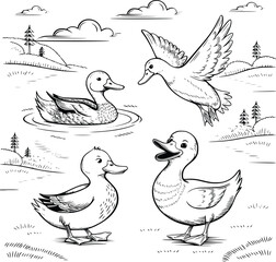 Obraz premium Bold black and white hand-drawn illustrations of 4 ducks doodling swimming in ponds, waddling on land, flying in the sky, and quacking happily, isolated on white.
