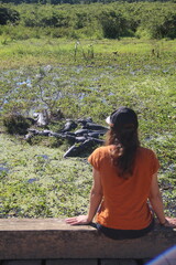 turista observando jacarés a partir da rodovia transpantaneira