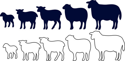 Sheep silhouette and outline vector set. Collection of isolated sheep graphics on a white background for farm logos, designs, and creative projects. Lamb, Suckling, Hogget, Yearling, Ewe