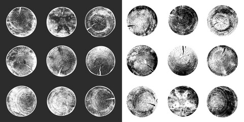 Big set of tree rings background. For your design conceptual graphics. Wood texture of wavy ring pattern from a slice of tree. Grayscale wooden art stump. Vector isolated on black, white background.