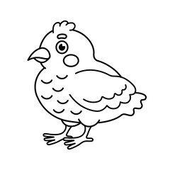 Doodle illustration of baby chick on white background. Cartoon little chicken coloring page for children