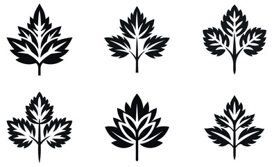 Elegant Black and White Leaf Design Set