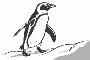 penguin vector illustration