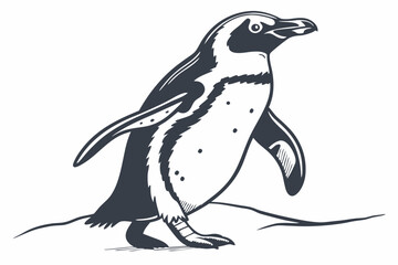 penguin on a white