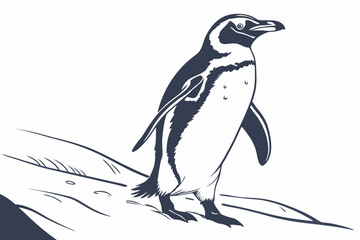 penguin on a white background
