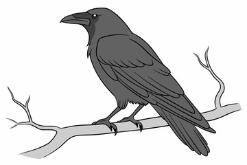 raven on a branch