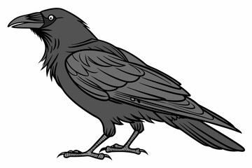 raven on a white background