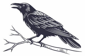 raven on a branch