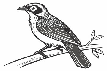 vector illustration of a bird