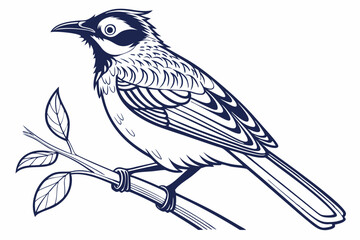 bird on a branch
