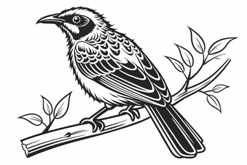 vector illustration of a bird