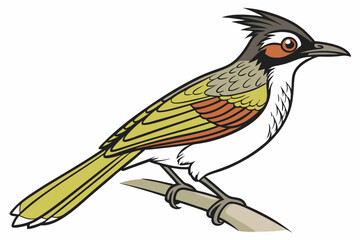 vector illustration of a bird