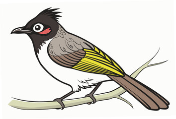 bird on a branch