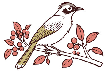 vector illustration of a bird