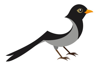 vector illustration of a bird