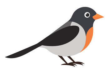 vector illustration of a bird