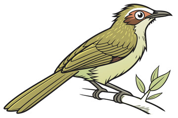 bird on a branch
