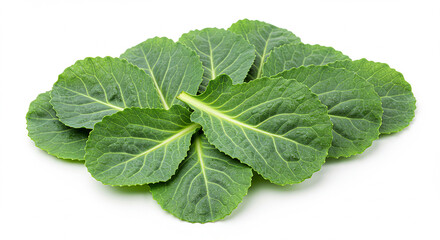Obraz premium Collard Greens