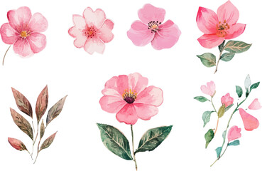 set of pink flowers