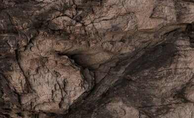 Close-up view of rough, textured rock face