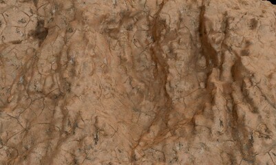 Close-up view of textured, light brown rock surface with intricate patterns