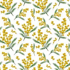 Seamless pattern with watercolor branches of yellow mimosa withs leaves on a white background. Spring botanical drawing. Ideal for textiles, packaging, wallpapers and backgrounds.
