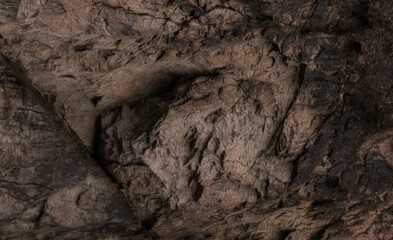 Textured dark brown rock surface