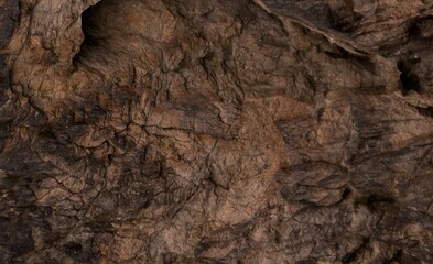 Close-up of rough, textured rock surface with deep cracks and varying shades of brown