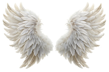 Fototapeta premium white feather angel wings bird isolated on white background. PNG