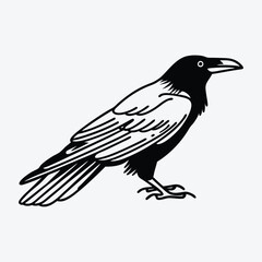 American Crow silhouette white background illustration, Generative Ai
