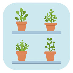 A Quartet of Potted Plants: An attractive, flat illustration of a grouping of four varied potted plants, each residing on their respective shelves, symbolizing growth.
