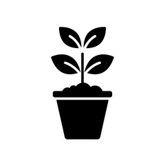Growth in a Pot: A monochromatic image features a young sprout growing, illustrating the concept of growth, nurture, and potential. The plant sits in a classic pot.