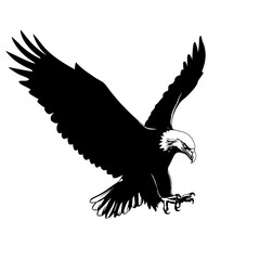 Bald Eagle in Flight: A powerful black and white illustration of a Bald Eagle soaring through the air with wings spread, its talons extended.