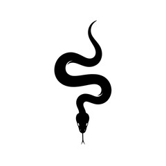 Obraz premium Snake Silhouette: A sleek black silhouette of a snake gracefully coils, its forked tongue extended, symbolizing mystery and primal instincts. 