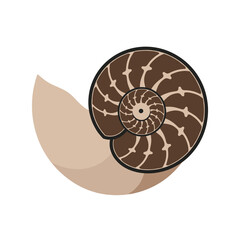 Nautilus Shell Design:  A stylized nautilus shell, showcasing its intricate spiral pattern and natural elegance, rests on a sandy beach.