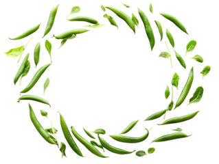Organic Navy Beans on White Background