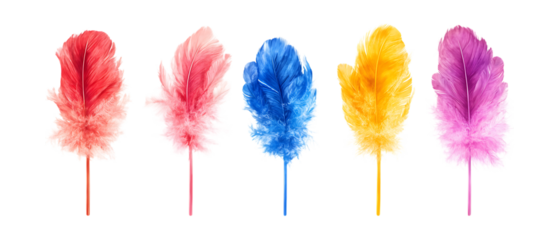 Pack of Feather Duster Against Transparent Background for Cleaning Products, Home Essentials, or Housekeeping Projects