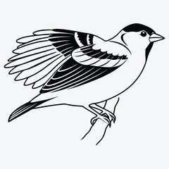 American Goldfinch silhouette white background illustration, Generative Ai