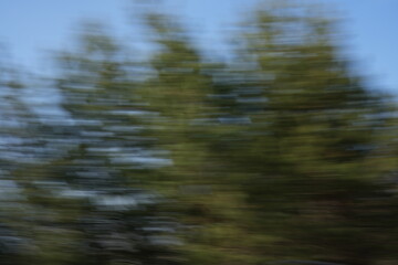 abstract motion blur capturing the greenery of trees against a clear blue sky, creating a dynamic...