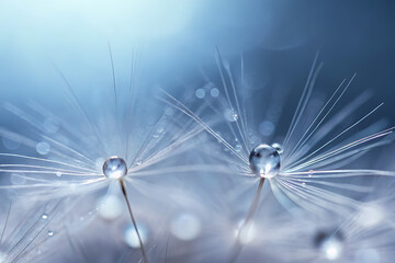 Obraz premium Close-up of a dandelion exhibiting a dreamy and delicate appearance, highlighting the macro details of its white fluffy seeds and the abstract texture of nature.