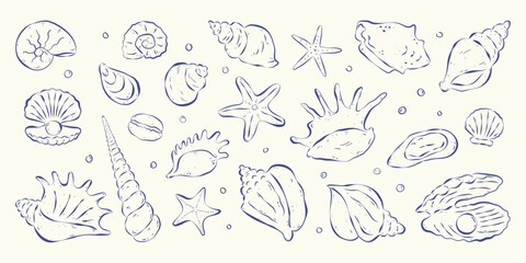 Collection of isolated hand drawn outline seashells, starfishes and bubbles in flat style on white backdrop. Mediterranean coastal aesthetics. Design elements for card, poster, background, logo.