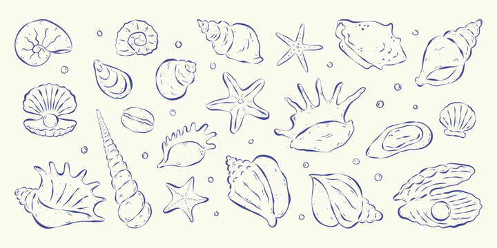Collection of isolated hand drawn outline seashells, starfishes and bubbles in flat style on white backdrop. Mediterranean coastal aesthetics. Design elements for card, poster, background, logo.