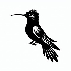 Obraz premium Hummingbird Silhouette