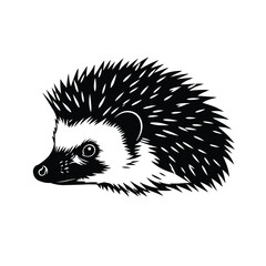 A black and white drawing of a hedgehog