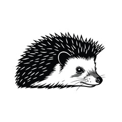 A black and white drawing of a hedgehog