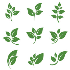 Leaves icon vector set isolated on white background. Various shapes of green leaves of trees and plants. Set of isolated green leaves icons on white background.