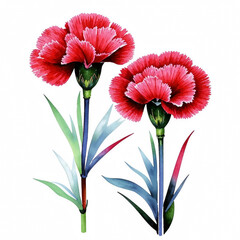 red carnations, a flower symbol of memory and sorrow, illustration. artificial intelligence generator, AI, neural network image. background for the design.