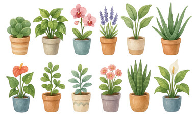 PNG watercolor potted plant set with houseplants, succulents, orchids, lavender, calla lilies, sansevieria, indoor greenery isolated on transparent background. Botanical clipart, home decor elements