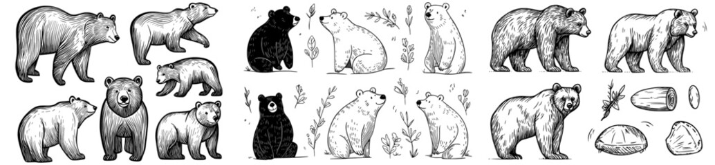 A compilation of diverse bear drawings in monochrome, highlighting an array of postures and emotions, ideal for creative endeavors